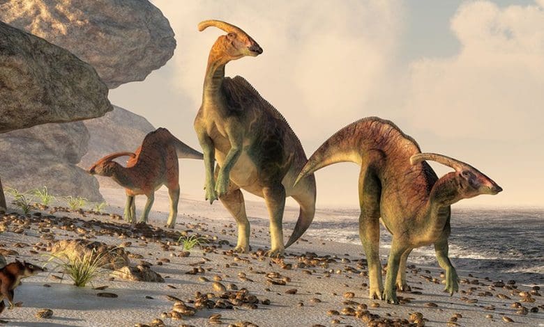 Apa yang Terjadi pada Dinosaurus? Apa yang Terjadi pada Dinosaurus?