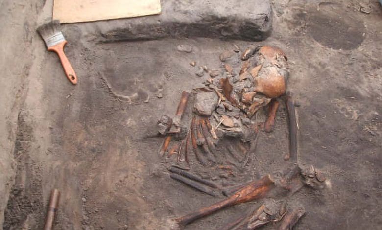 Temuan Arkeologi Baru yang Menakjubkan Menulis Ulang Sejarah Kuno Brasil Temuan Arkeologi Baru yang Menakjubkan Menulis Ulang Sejarah Kuno Brasil