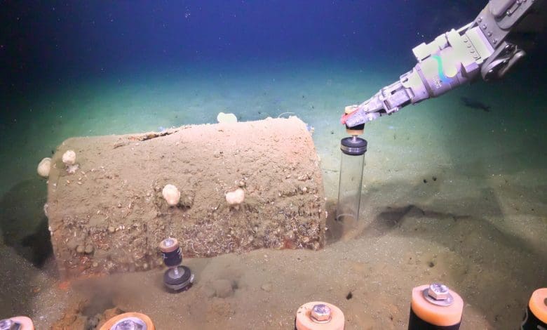 Warisan Beracun: Ancaman Abadi dari Pembuangan DDT Bersejarah di Pantai Los Angeles Warisan Beracun: Ancaman Abadi dari Pembuangan DDT Bersejarah di Pantai Los Angeles