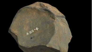 Penelitian Baru Mengungkap Asal Usul Budaya Kumulatif dalam Evolusi Manusia Penelitian Baru Mengungkap Asal Usul Budaya Kumulatif dalam Evolusi Manusia