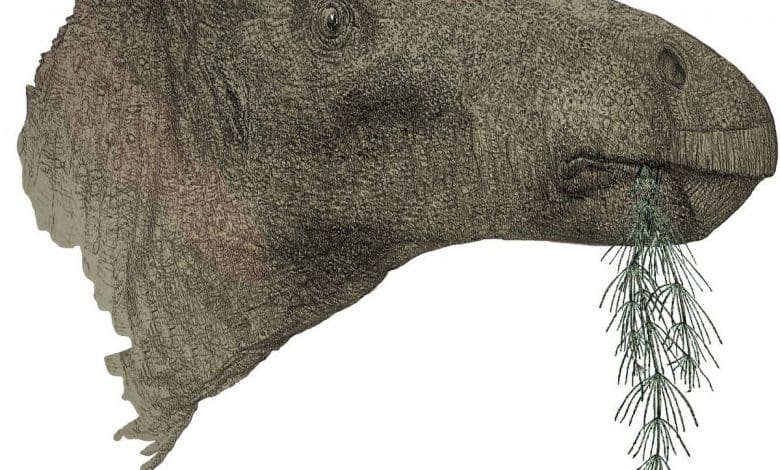 Penemuan Menakjubkan: Kolektor Fosil Menemukan Dinosaurus Terlengkap di Inggris Sejak 1923 Penemuan Menakjubkan: Kolektor Fosil Menemukan Dinosaurus Terlengkap di Inggris Sejak 1923