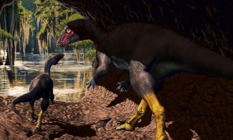 Ilmuwan Temukan Spesies Dinosaurus Baru yang Tidak Biasa yang Hidup di Bawah Tanah Ilmuwan Temukan Spesies Dinosaurus Baru yang Tidak Biasa yang Hidup di Bawah Tanah