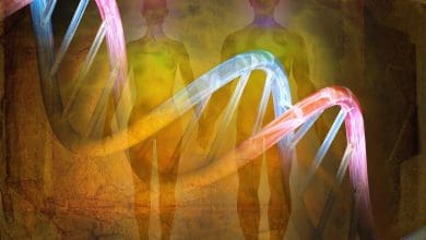 Mengungkap Asal Usul Kita: Bagaimana Manusia Fashionable Menaklukkan Cuaca Dingin Mengungkap Asal Usul Kita: Bagaimana Manusia Fashionable Menaklukkan Cuaca Dingin