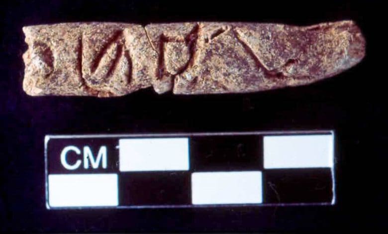 Penemuan Baru Menunjukkan Alfabet Mungkin Tidak Berasal dari Mesir Penemuan Baru Menunjukkan Alfabet Mungkin Tidak Berasal dari Mesir