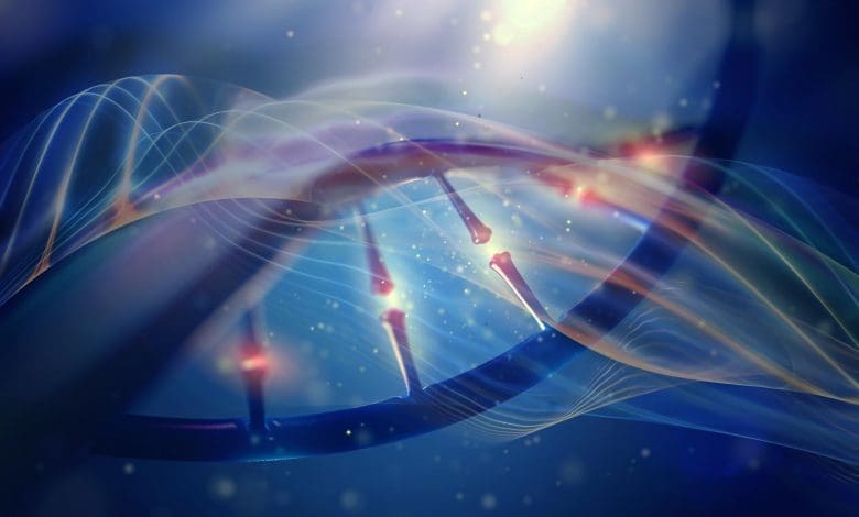 Metilasi DNA Kuno: Ahli Biologi Membuka Rahasia Evolusi Manusia Metilasi DNA Kuno: Ahli Biologi Membuka Rahasia Evolusi Manusia