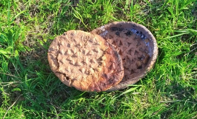 Para Arkeolog Mengungkap Rahasia Kuliner Neolitikum Para Arkeolog Mengungkap Rahasia Kuliner Neolitikum