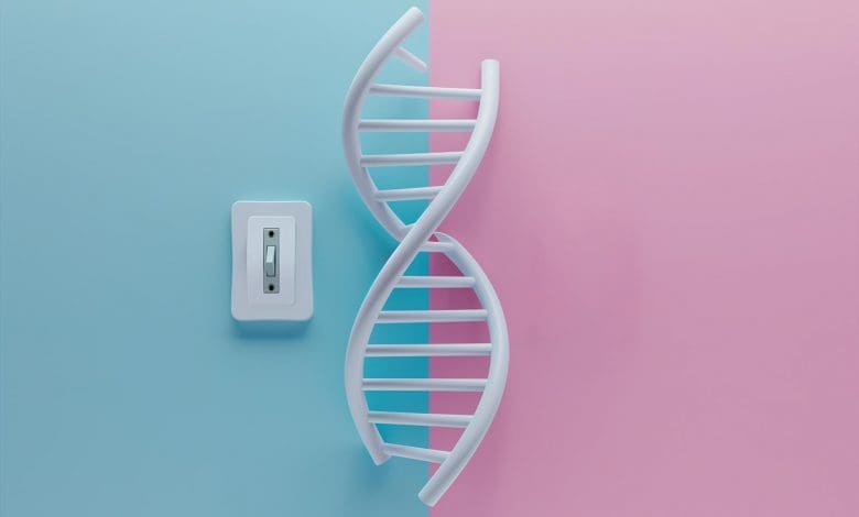 Membuka Kunci Saklar DNA Tersembunyi yang Membentuk Kehidupan Membuka Kunci Saklar DNA Tersembunyi yang Membentuk Kehidupan