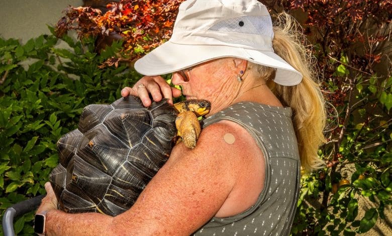 Apa yang terjadi pada hewan peliharaan eksotik yang hidup lebih lama dari pemiliknya? Apa yang terjadi pada hewan peliharaan eksotik yang hidup lebih lama dari pemiliknya?