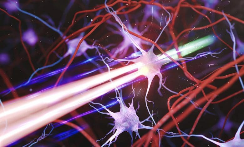 Mikroskop Revolusioner Mengungkap Rahasia Terdalam Otak Mikroskop Revolusioner Mengungkap Rahasia Terdalam Otak