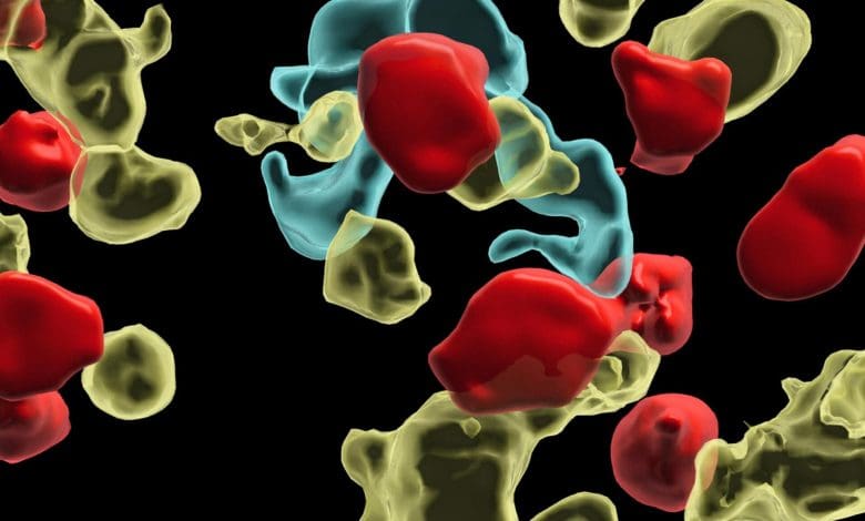 Terobosan Sel Kekebalan Tubuh: Ilmuwan Menemukan Sekutu Tersembunyi dalam Melawan Kanker Terobosan Sel Kekebalan Tubuh: Ilmuwan Menemukan Sekutu Tersembunyi dalam Melawan Kanker