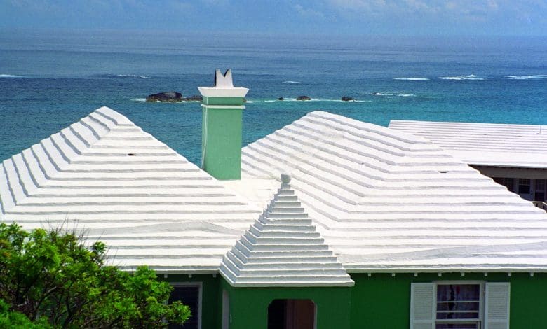 Atap Putih Menjadi Salah: Strategi Adaptasi Iklim yang Sederhana Bisa Menjadi Bumerang Atap Putih Menjadi Salah: Strategi Adaptasi Iklim yang Sederhana Bisa Menjadi Bumerang