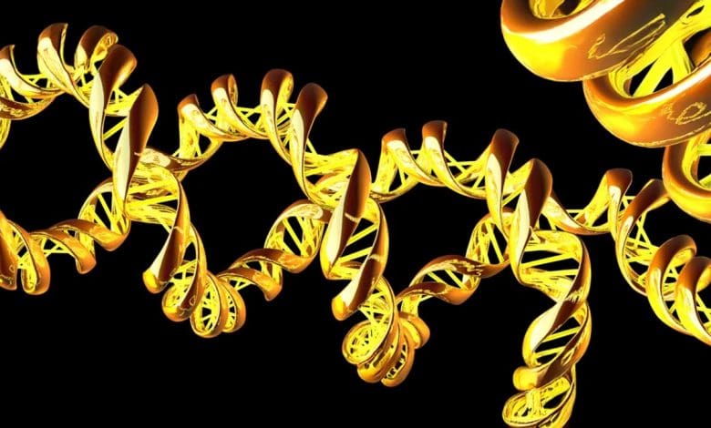 Tarian Rahasia DNA: Bagaimana Mesin Molekuler Memutar dan Memutar Kode Kehidupan Tarian Rahasia DNA: Bagaimana Mesin Molekuler Memutar dan Memutar Kode Kehidupan