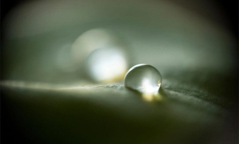 Mengapa hidup begitu membosankan? Memecahkan misteri “miliar yang membosankan” Mengapa hidup begitu membosankan? Memecahkan misteri “miliar yang membosankan”