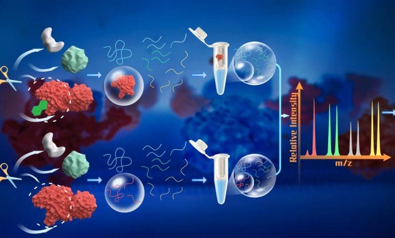 Metode Baru Mendeteksi Interaksi Ligan-Protein Dengan Sensitivitas yang Belum Pernah Ada Sebelumnya Metode Baru Mendeteksi Interaksi Ligan-Protein Dengan Sensitivitas yang Belum Pernah Ada Sebelumnya