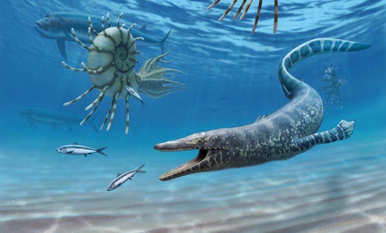 Mengungkap Rahasia Gelap Mosasaurus Mengungkap Rahasia Gelap Mosasaurus