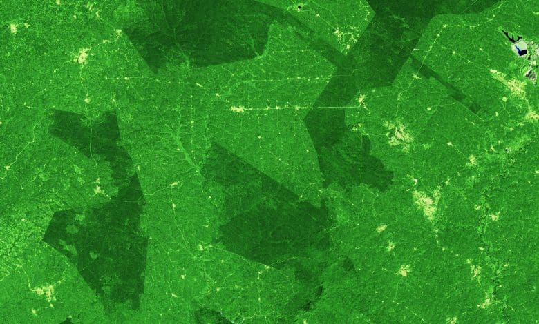 Lihat sebelum dan sesudah yang mengkhawatirkan hutan Ghana yang menghilang Lihat sebelum dan sesudah yang mengkhawatirkan hutan Ghana yang menghilang