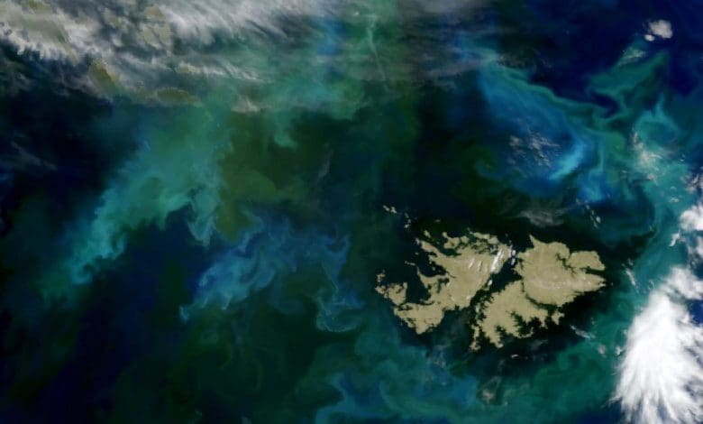 NASA mengungkap fenomena pirus yang menakjubkan yang mengubah lautan Patagonia NASA mengungkap fenomena pirus yang menakjubkan yang mengubah lautan Patagonia