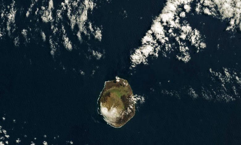 Para ilmuwan melarikan diri sebagai Raging Wildfire Devours Hub Penelitian Kritis Pulau Amsterdam Para ilmuwan melarikan diri sebagai Raging Wildfire Devours Hub Penelitian Kritis Pulau Amsterdam