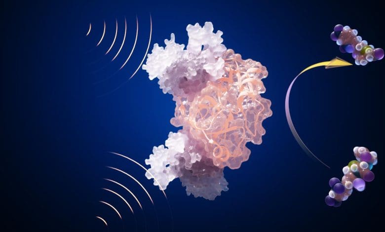 Ilmuwan mengungkap terobosan biosensor untuk deteksi logam tanah jarang Ilmuwan mengungkap terobosan biosensor untuk deteksi logam tanah jarang