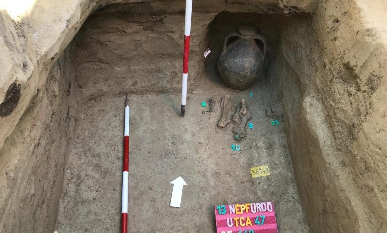 Penelitian baru mengungkap leluhur misterius mereka Penelitian baru mengungkap leluhur misterius mereka