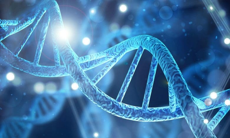 “Kurang, tapi lebih”: para ilmuwan mengembangkan pandangan baru yang radikal tentang perubahan evolusioner “Kurang, tapi lebih”: para ilmuwan mengembangkan pandangan baru yang radikal tentang perubahan evolusioner