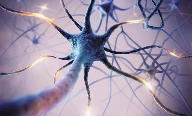 Ilmuwan menemukan saklar “berhenti makan” otak Ilmuwan menemukan saklar “berhenti makan” otak