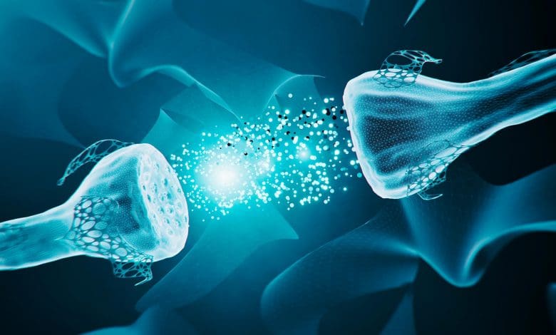 Para ilmuwan mengembangkan neuron buatan yang meniru persepsi manusia Para ilmuwan mengembangkan neuron buatan yang meniru persepsi manusia