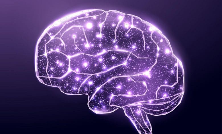 Studi baru mengungkapkan bagaimana korteks serebral memprediksi masa depan Studi baru mengungkapkan bagaimana korteks serebral memprediksi masa depan