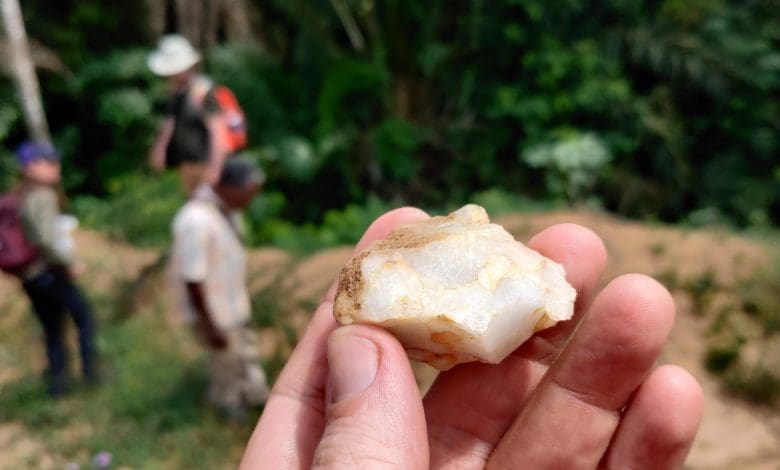 Hilang di hutan hujan selama 150.000 tahun – penemuan yang menulis ulang sejarah manusia Hilang di hutan hujan selama 150.000 tahun – penemuan yang menulis ulang sejarah manusia