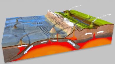 Ilmuwan mengungkapkan jalan raya mantel tersembunyi di bawah Tonga Ilmuwan mengungkapkan jalan raya mantel tersembunyi di bawah Tonga