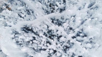 Bisakah Methane Meningkat Benar -benar Membantu Lapisan Ozon pulih lebih cepat? Bisakah Methane Meningkat Benar -benar Membantu Lapisan Ozon pulih lebih cepat?