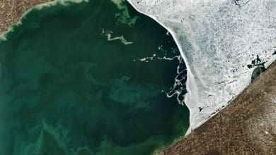 Beku di atas, mekar di bawah: Kehidupan mikroskopis terbangun di Danau Erie Beku di atas, mekar di bawah: Kehidupan mikroskopis terbangun di Danau Erie