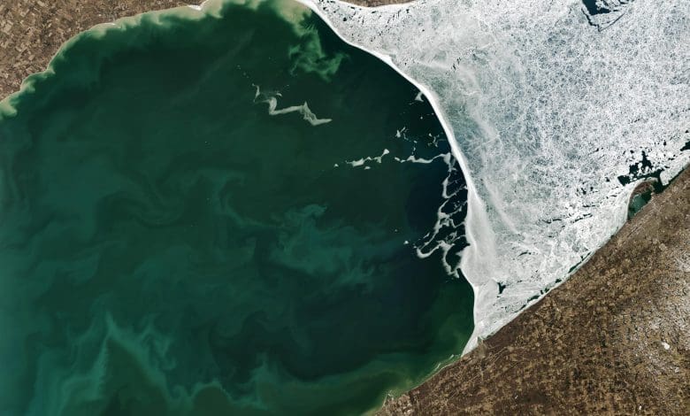 Beku di atas, mekar di bawah: Kehidupan mikroskopis terbangun di Danau Erie Beku di atas, mekar di bawah: Kehidupan mikroskopis terbangun di Danau Erie