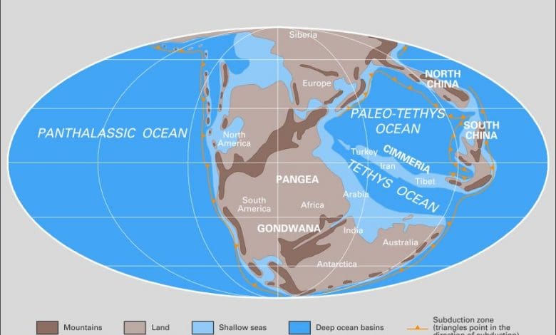 Menemukan Benua Tremendous: Bagaimana Pangaea Ditemukan