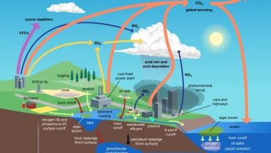 Apa Saja Jenis Polusi yang Berbeda?