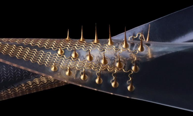 The Mild Prick: Microneedles Merenggang Terinspirasi Siput Laut Merevolusi Sensor Biomedis