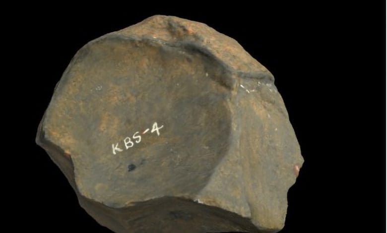 Penelitian Baru Mengungkap Asal Usul Budaya Kumulatif dalam Evolusi Manusia