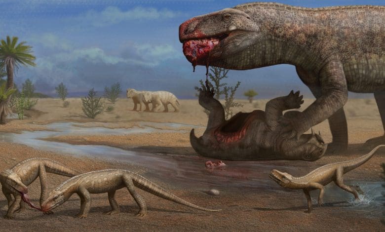 Reptil Mirip Buaya Purba Ditemukan di Brasil