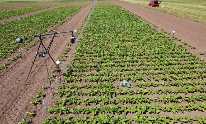 Bagaimana Pencetakan AI dan 3D Mengubah Cara Kita Menanam Pangan