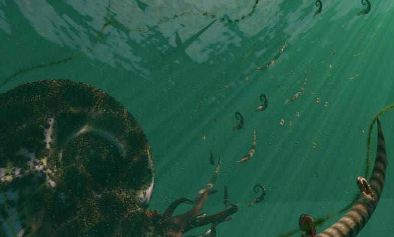 Misteri Paleontologi: Studi Baru Mengungkapkan Bahwa Amonoid Berkembang Biak Hingga Kepunahan Mendadak