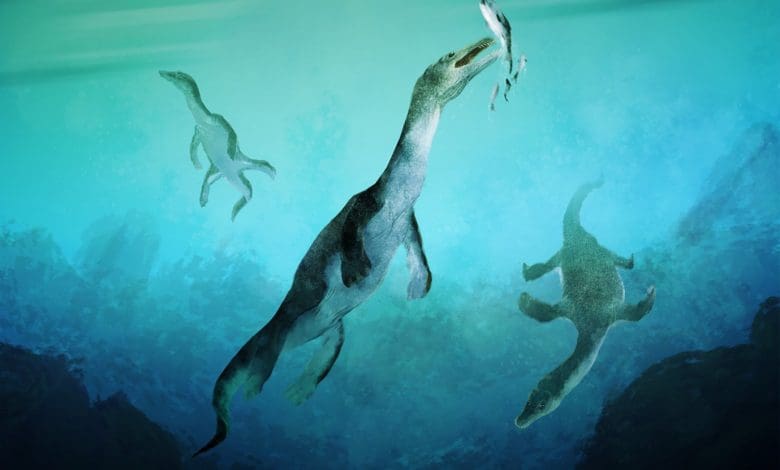 Mendefinisikan Ulang Evolusi Laut: Fosil Reptil Laut Tertua di Belahan Bumi Selatan Ditemukan di Selandia Baru