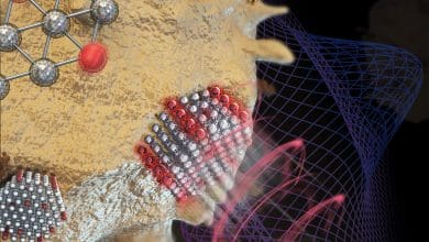 Teknik Baru yang Luar Biasa Mengukur Kekuatan Sekecil Virus dengan Presisi yang Belum Pernah Ada Sebelumnya