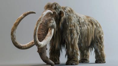 Terobosan De-Extinction: Mengungkap Genom Mamut Berbulu dengan Teknologi DNA yang Canggih