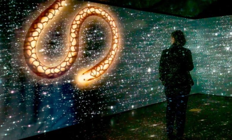 Mengapa galeri seni baru di Bangalore penting bagi sains India