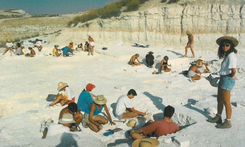 Fosil Manusia Tertua di Eropa Ditemukan: Sisa-sisa Berusia 1,3 Juta Tahun, Tantang Teori Migrasi Sebelumnya