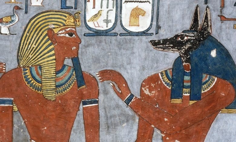 Orang Mesir kuno memuja anjing—dapatkah anjing jalanan ini kembali ke kejayaannya?