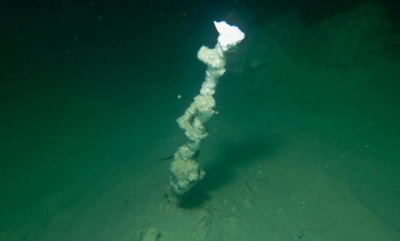 Perokok Putih Misterius Ditemukan di Laut Mati