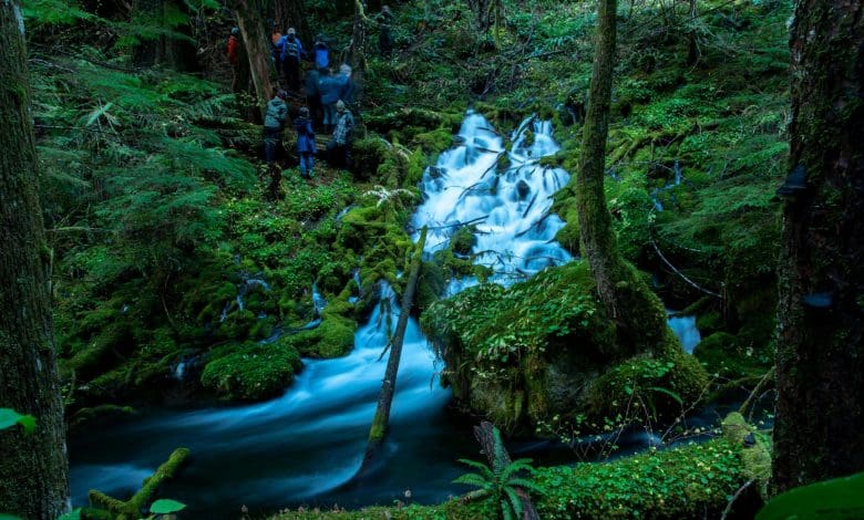 Para ilmuwan menemukan lemari besi air bawah tanah besar -besaran di Oregon – 3x ukuran Danau Mead