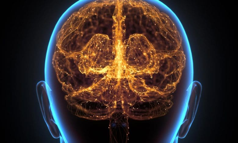 Terlahir berbeda? Ilmuwan Cambridge mengungkap perbedaan jenis kelamin bawaan dalam otak