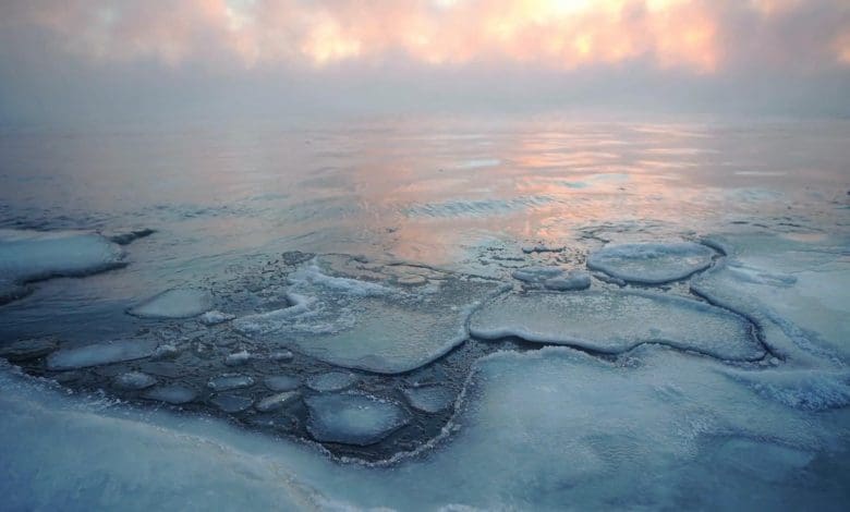 Penelitian baru memaparkan kerugian gletser “mencengangkan” di hotspot pemanasan global